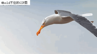 领导干部必须知道的个人事项大发彩神争8填报技巧！