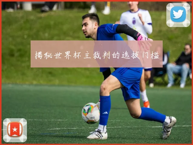 揭秘世界杯主裁判的选拔门槛