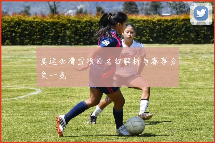 奥运会滑雪项目名称解析与赛事分类一览
