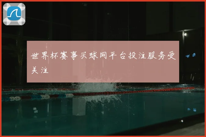 世界杯赛事买球网平台投注服务受关注