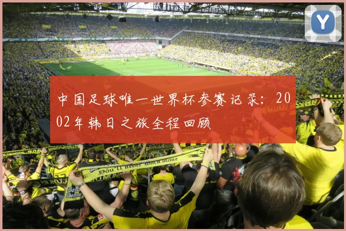 中国足球唯一世界杯参赛记录：2002年韩日之旅全程回顾