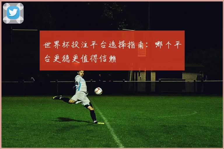 世界杯投注平台选择指南:哪个平台更稳更值得信赖
