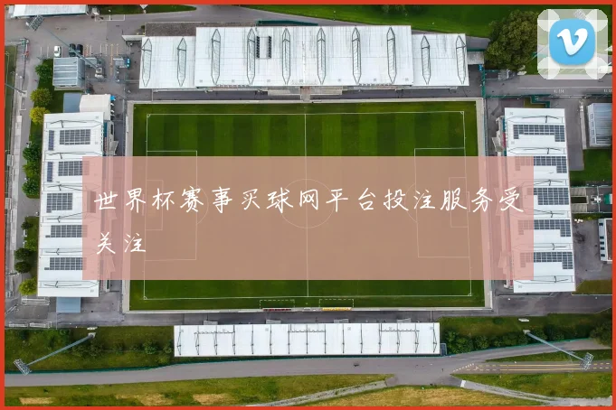 世界杯赛事买球网平台投注服务受关注