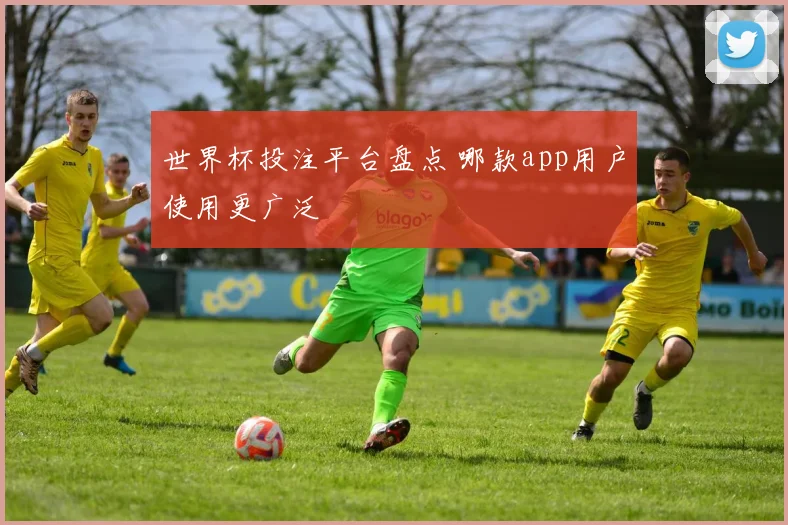 世界杯投注平台盘点 哪款app用户使用更广泛