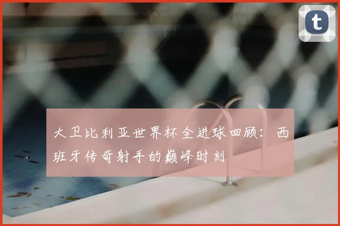 大卫比利亚世界杯全进球回顾：西班牙传奇射手的巅峰时刻