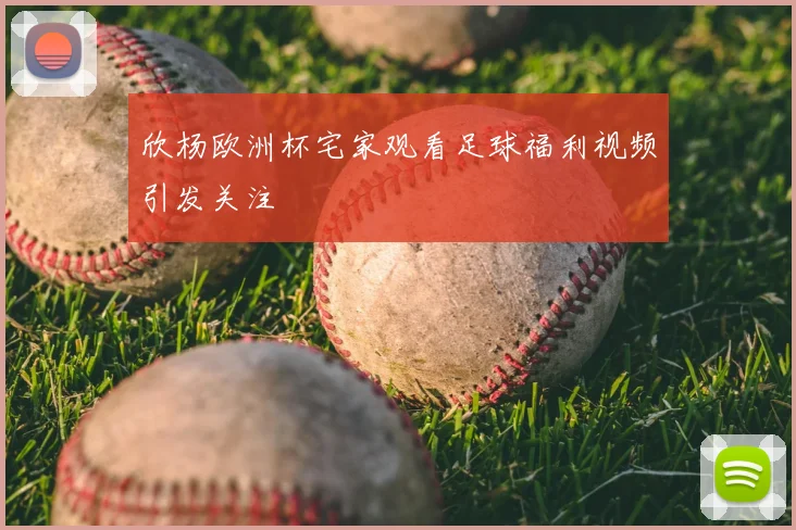欣杨欧洲杯宅家观看足球福利视频引发关注
