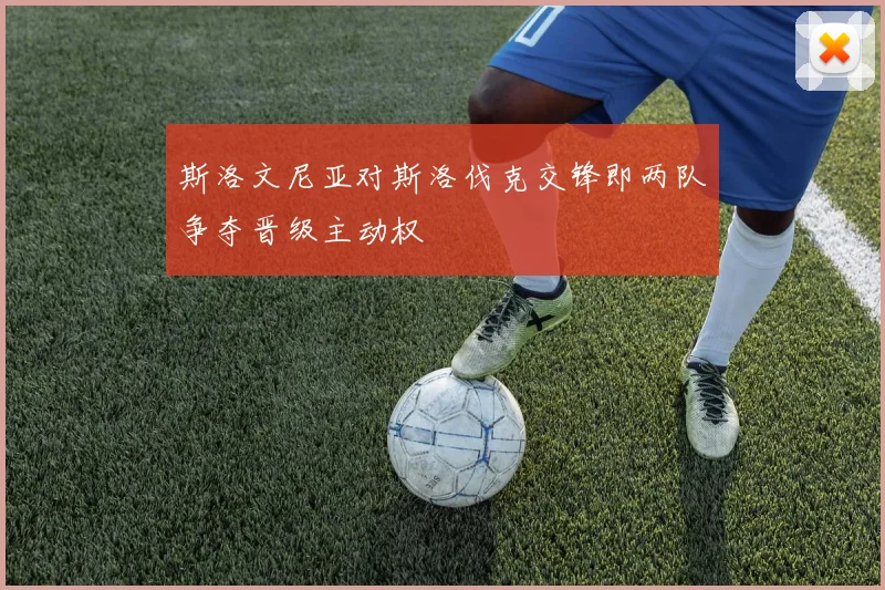 斯洛文尼亚对斯洛伐克交锋即两队争夺晋级主动权