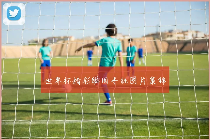 世界杯精彩瞬间手机图片集锦