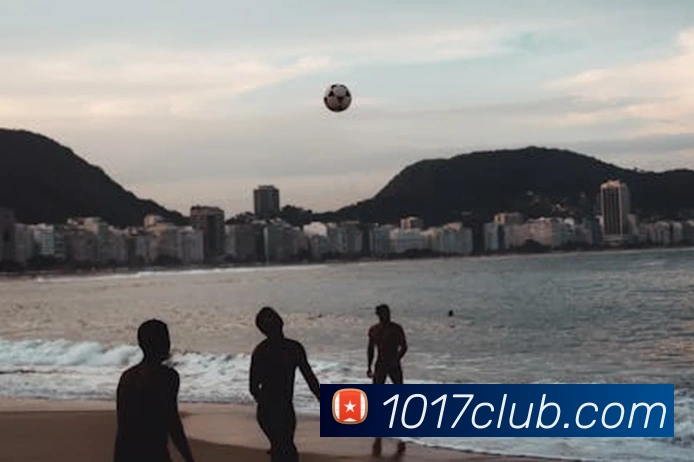 在线买世界杯平台平台生态图